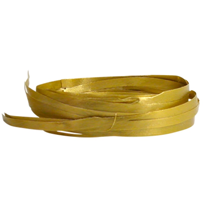 Raphlene plasticbånd guld - 1