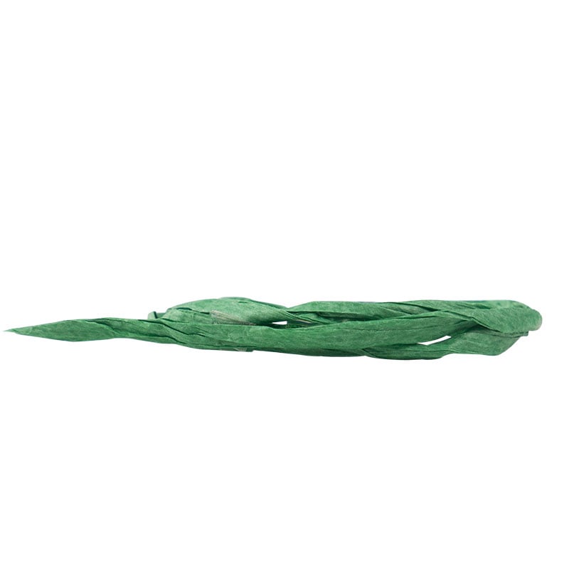 Papirbånd raffia grøn - 1