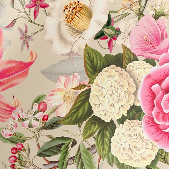 Gavepapir Box kons. Kew Garden 25stk. - 4