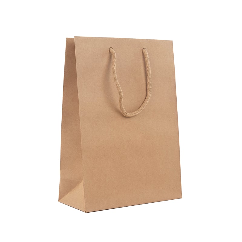 Papirbærepose Lux natur kraft - 2