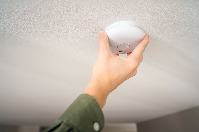 Brandalarm Pebble 10 Housegard - 3