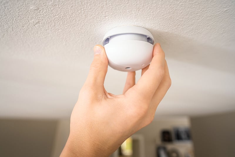 Brandalarm Housegard Pebble Mini - 1