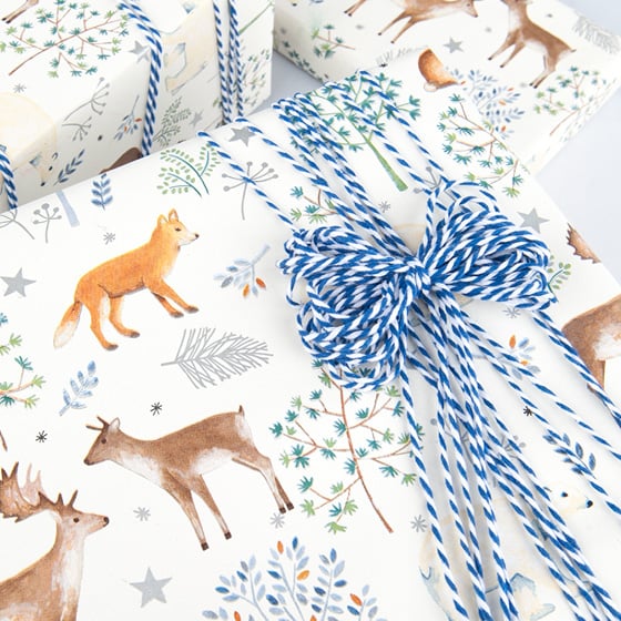 Tekstilsnor 2-farvet blå/hvid - 3