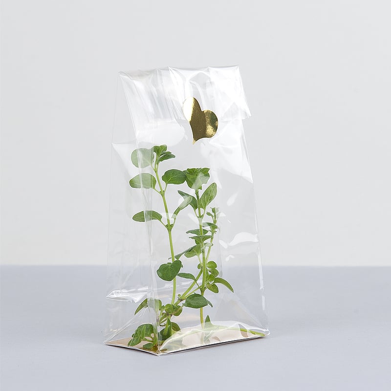 PP-klodsbundspose guldfarvet kartonbund - cellofanpose - 2