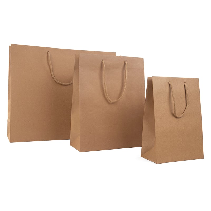 Papirbærepose Lux natur kraft - 3