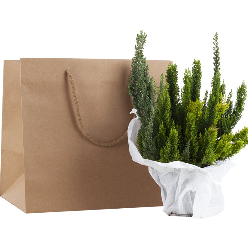 Lyksuspose gourmet natur - 2