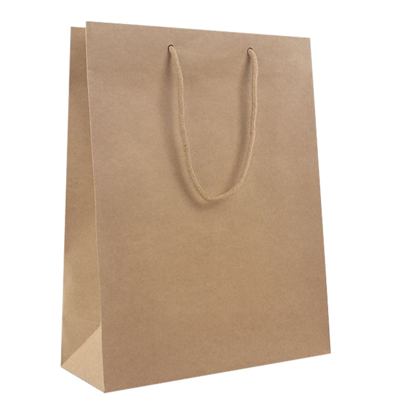 Papirbærepose Lux natur kraft - 1