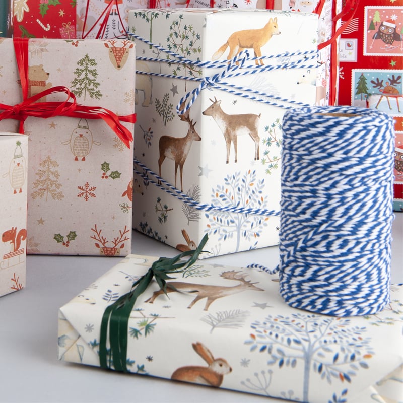 Tekstilsnor 2-farvet blå/hvid - 4