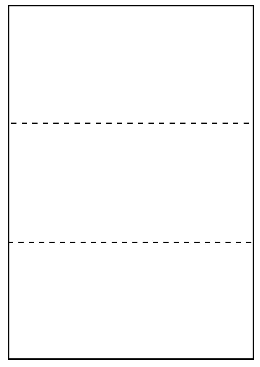 Fragtlabel laser 210 x 99 mm